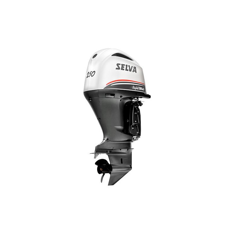 Selva Right Whale 250 E.F.I Selva Right Whale 250 E.F.I