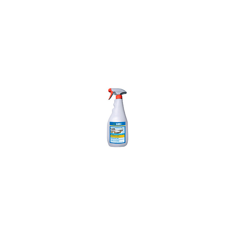 Limpia Cascos Instant 1L. Spray