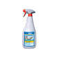 Limpia Cascos Instant 1L. Spray